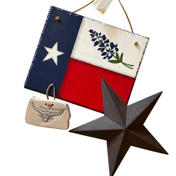 Texas Home Decor Unique Artwork - Picture 1 of 16